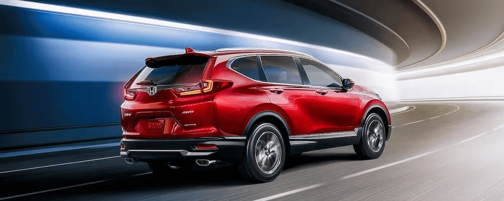 Terms and Conditions